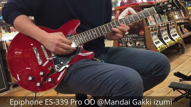 Epiphone ES-339 Pro 試奏動画【売却済】 смотреть онлайн