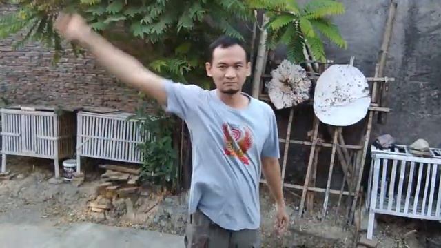 Throw anything series part 6 смотреть онлайн