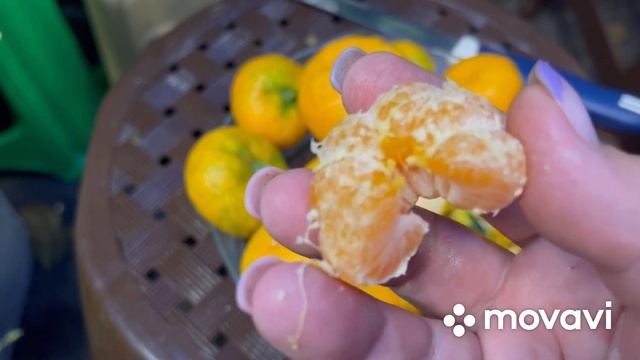 Мандарин Owari Satsuma / Овари Сатсума ? смотреть онлайн
