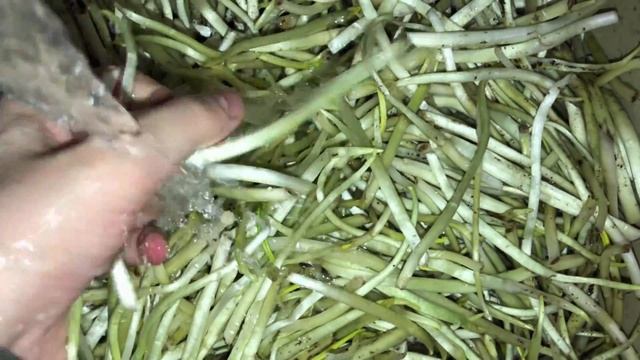 Фотография Городских Пейзажей