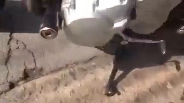 Bandit 1250 N смотреть онлайн