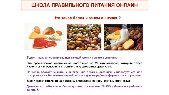 1 Белок ШПП 2 смотреть онлайн