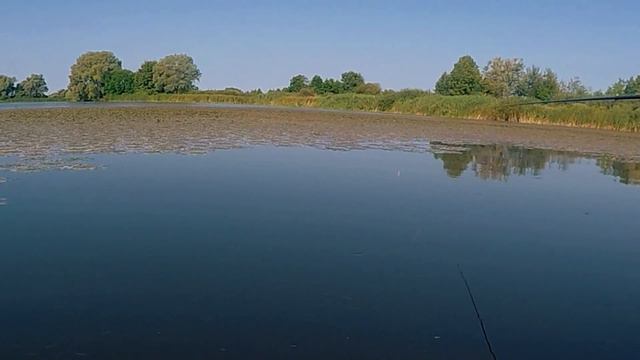 Релакс. Рыбалка. Природа. Relax. Fishing. Nature. смотреть онлайн
