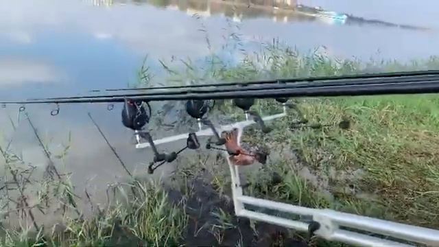 Паравоз Грозный Карп смотреть онлайн