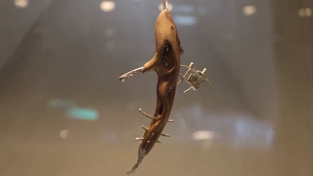 Виртуальная экскурсия по выставке 