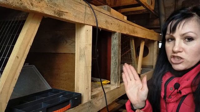 КРОЛИКИ//КЛЕТКА ДЛЯ КРОЛИКОВ СВОИМИ РУКАМИ смотреть онлайн