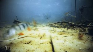 ЛУЧШИЕ АТАКИ ЩУКИ НА ЖИВЦА! Рыбалка на жерлицы  Подводная съемка