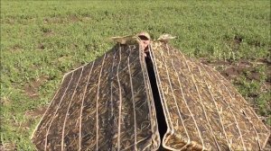 лучший в мире скрадок МАНИЯ Гравитация М2