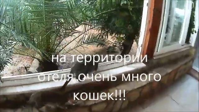 Отель "MUZ" 3 Турция,Аланья. смотреть онлайн