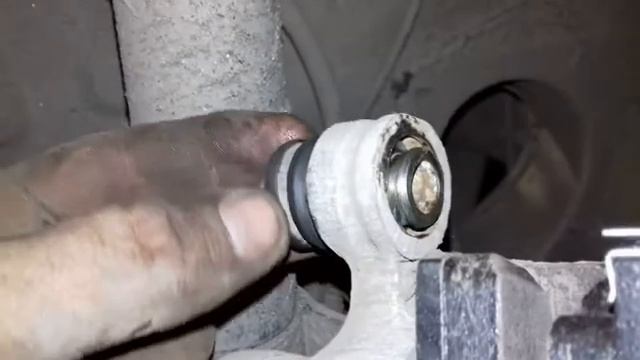 Грибы и окружающий мир