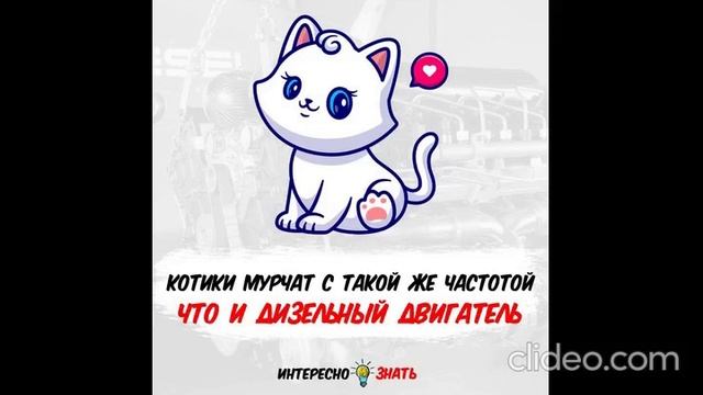 в обеденный перерыв 15.06 смотреть онлайн