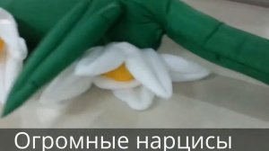 Огромные цветы нарциссы из шаров
