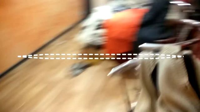 British short hair + Scotish fold = UK Long hair cat. Британская ст+Шотдандец фолд =Белый Пушистик смотреть онлайн