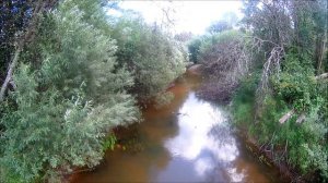 река Желча Псковской области. Поиск и пробная рыбалка