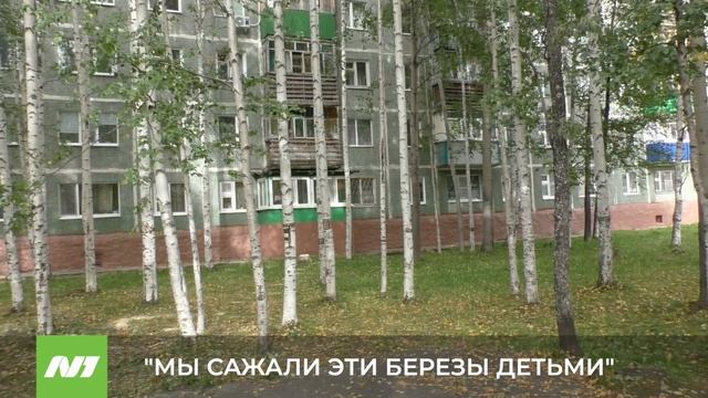 "МЫ САЖАЛИ ЭТИ БЕРЕЗЫ ДЕТЬМИ" смотреть онлайн