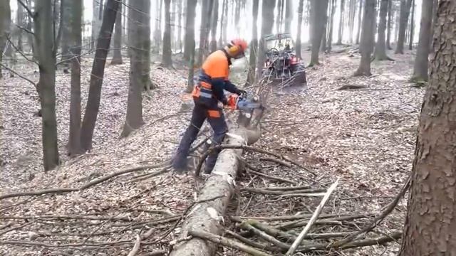 Husqvarna 550 Xp #husqvarna