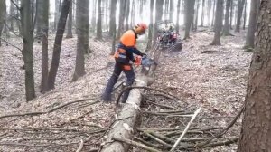 Husqvarna 550 xp #husqvarna