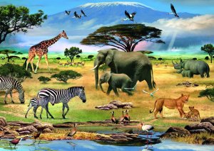 Учим животных африки(learn African animals)