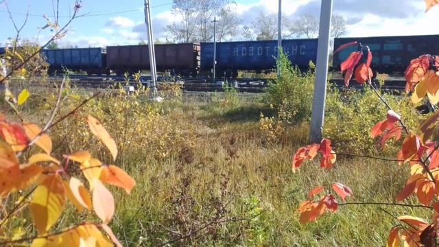 2тэ116-379 с грузовым поездом прибывает на 3 путь смотреть онлайн