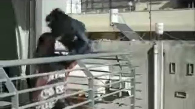 iGiS Lotto Commercial Israel When A Woman Is Angry смотреть онлайн