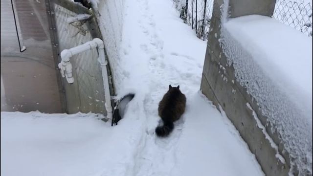 Настоящая зима в деревне смотреть онлайн