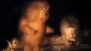 ???Я тебя в себя содержу... Мне весь этот мир абсолютно понятен!?