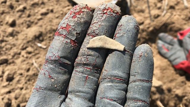 Небитые поля Ольвии. Olvio coins search. Работает Equinox 800. смотреть онлайн