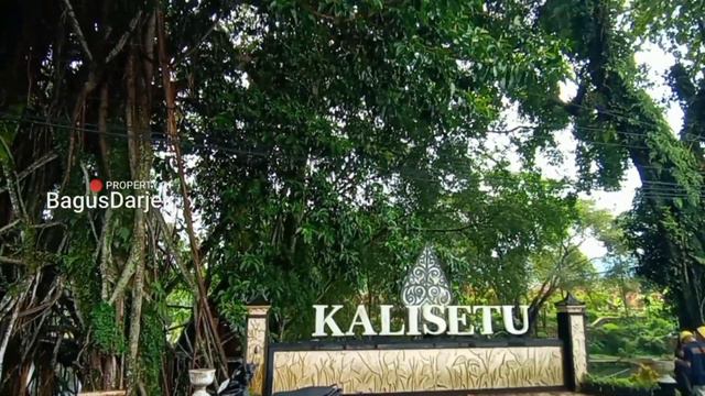 NYATA POHON UANG ! MENGALIR 100 JUTA TIAP BULAN. смотреть онлайн