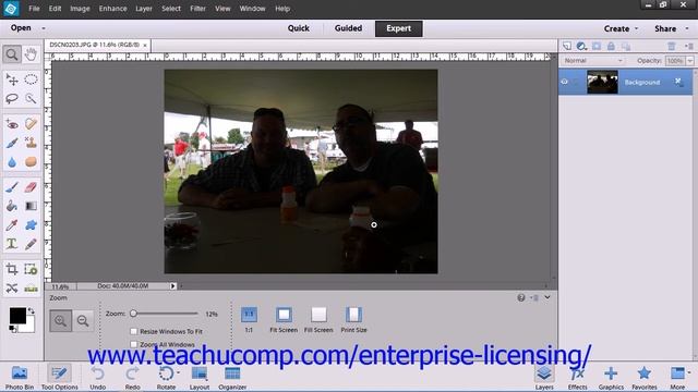 Adobe Photoshop Elements 12 Tutorial Lighting Color Contrast & Clarity Employee Group Training 14.4 смотреть онлайн
