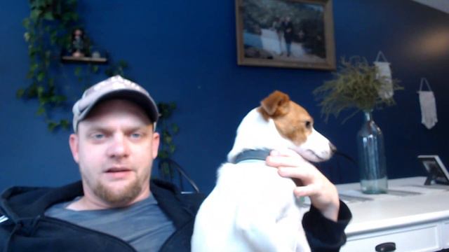 Jack Russell Terriers (How Stubborn They Can Be And What To Do) смотреть онлайн