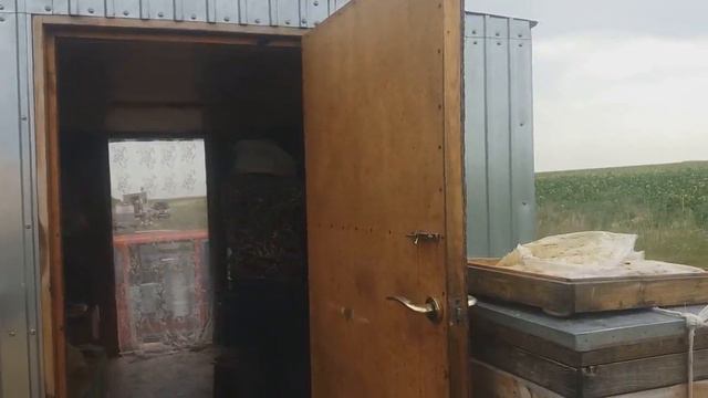 Пчелопакеты на подсолнухе смотреть онлайн