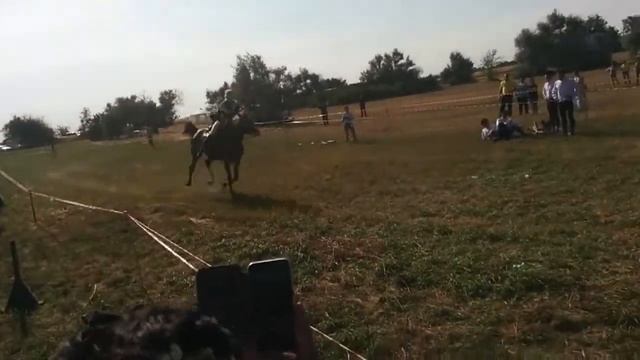 Купаловское лето на дону 2019 вторая серия смотреть онлайн