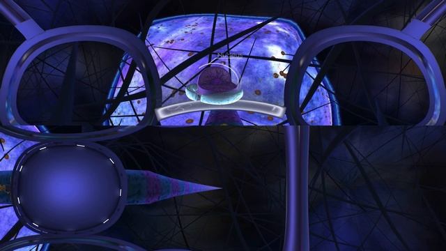 The Body VR Journey Inside a Cell 360 Gameplay смотреть онлайн