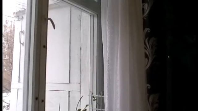 Советы как подготовить новогодние настроения !!! смотреть онлайн