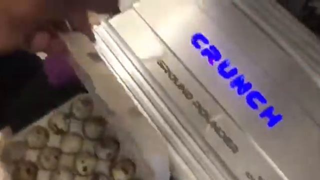 Усилитель (жарим яичницу) смотреть онлайн