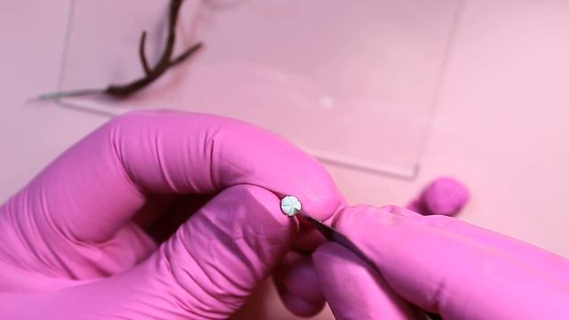 Веточка сакуры из полимерной глины?Мастер-класс.