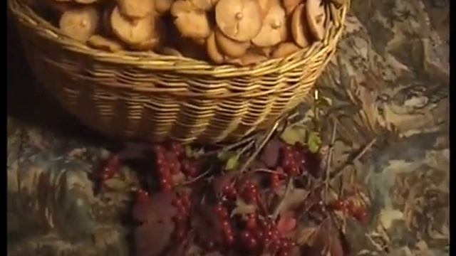 Заблудилась в лесу Добыча - домой.Опята. смотреть онлайн