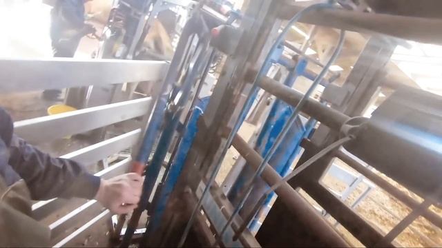 HOOF EATEN by BACTERIA!? ... fixing COWS FEET | The Hoof GP смотреть онлайн
