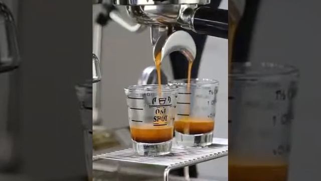 MÁY XAY CÀ PHÊ 900N ZIN100-0909272322 смотреть онлайн