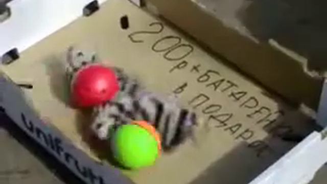 про животных смотреть онлайн