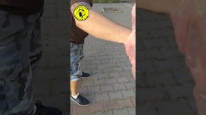 Тестирование Джек Рассел Терьер на общий курс дрессировки.