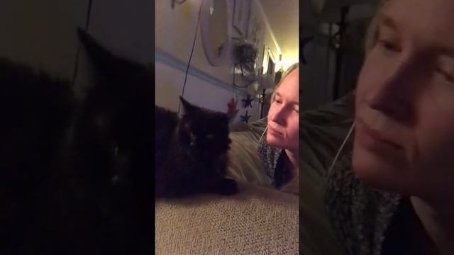 Interview with cat, is the world a cat? смотреть онлайн