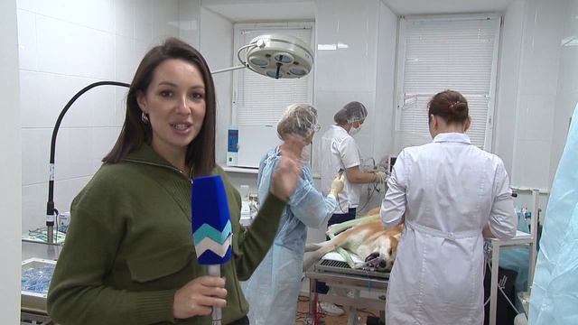 Новости "Волга-24" 29.11.2022 11:00