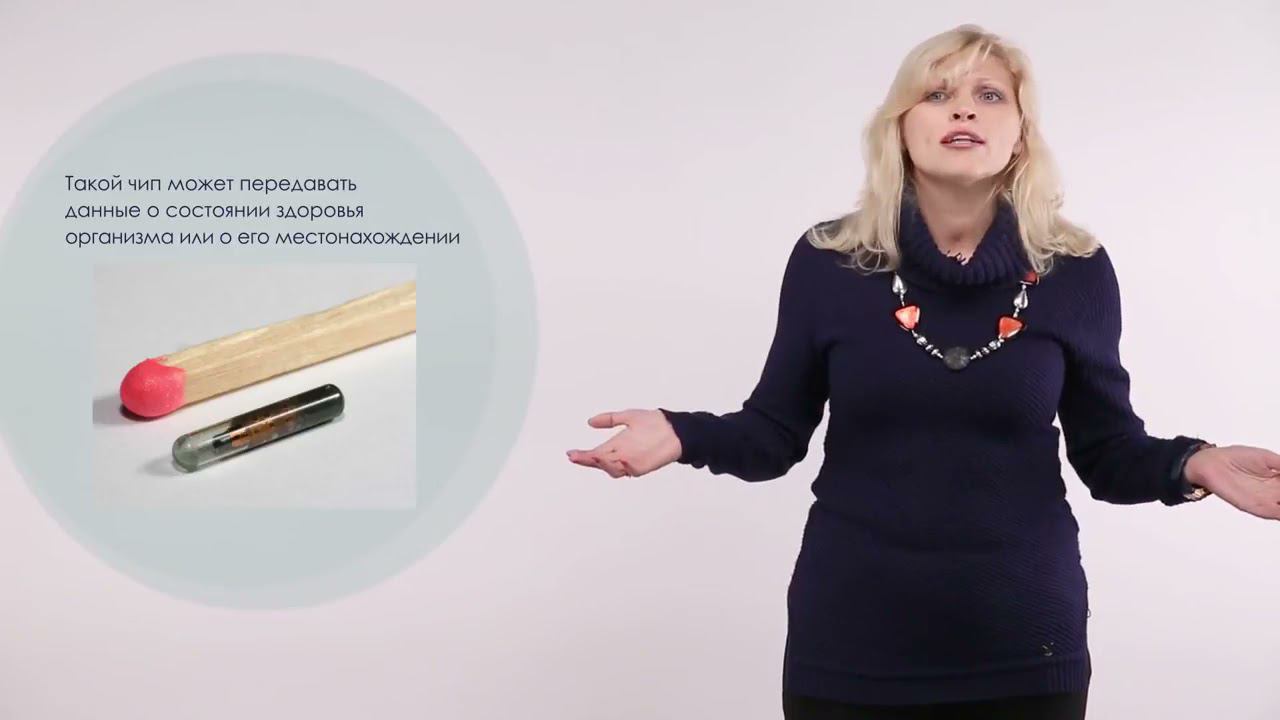 Чипирование живых организмов с помощью нанотехнологий смотреть онлайн