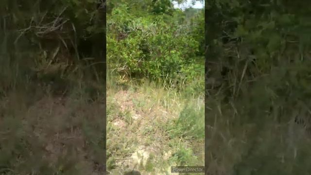 Уборка вдоль р. Кошевая на Острове 30.05.2020 (анонс)