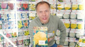 ТОП ОБЗОР сортов Нарциссов