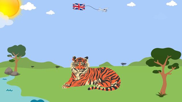 Wild Animals Vocabulary English ESL Lesson