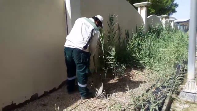 Landscape work in abu dhabi смотреть онлайн