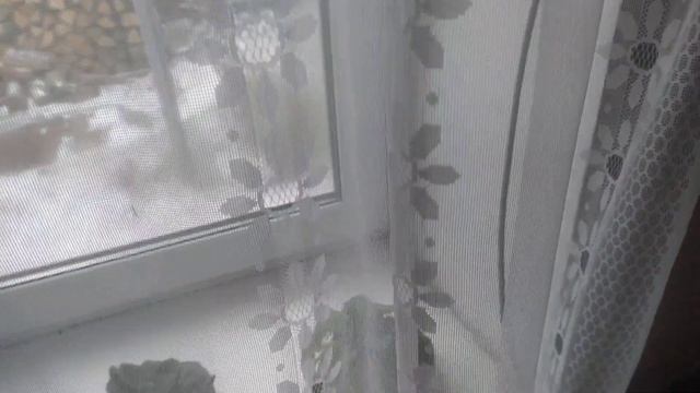 Бахмут Торецк отвечаю землякам подписчикам! И процесс приготовления вареников. смотреть онлайн