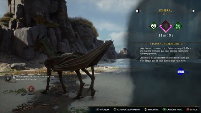 Le poulain qui sauva son espece Hogwarts Legacy Attrape Sombral creasort enclos reproduction invoqu смотреть онлайн